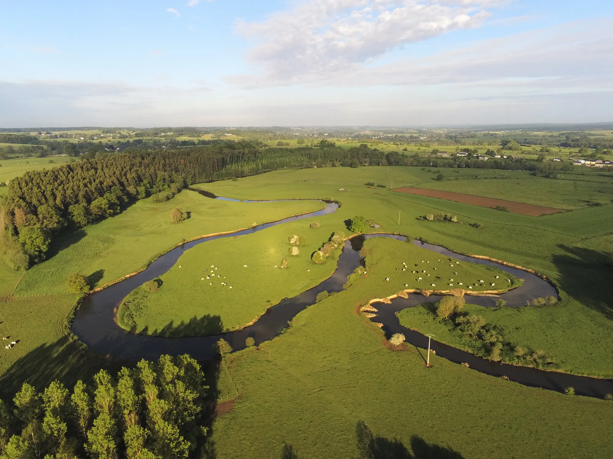 Paysage naturel protégé par Natagora