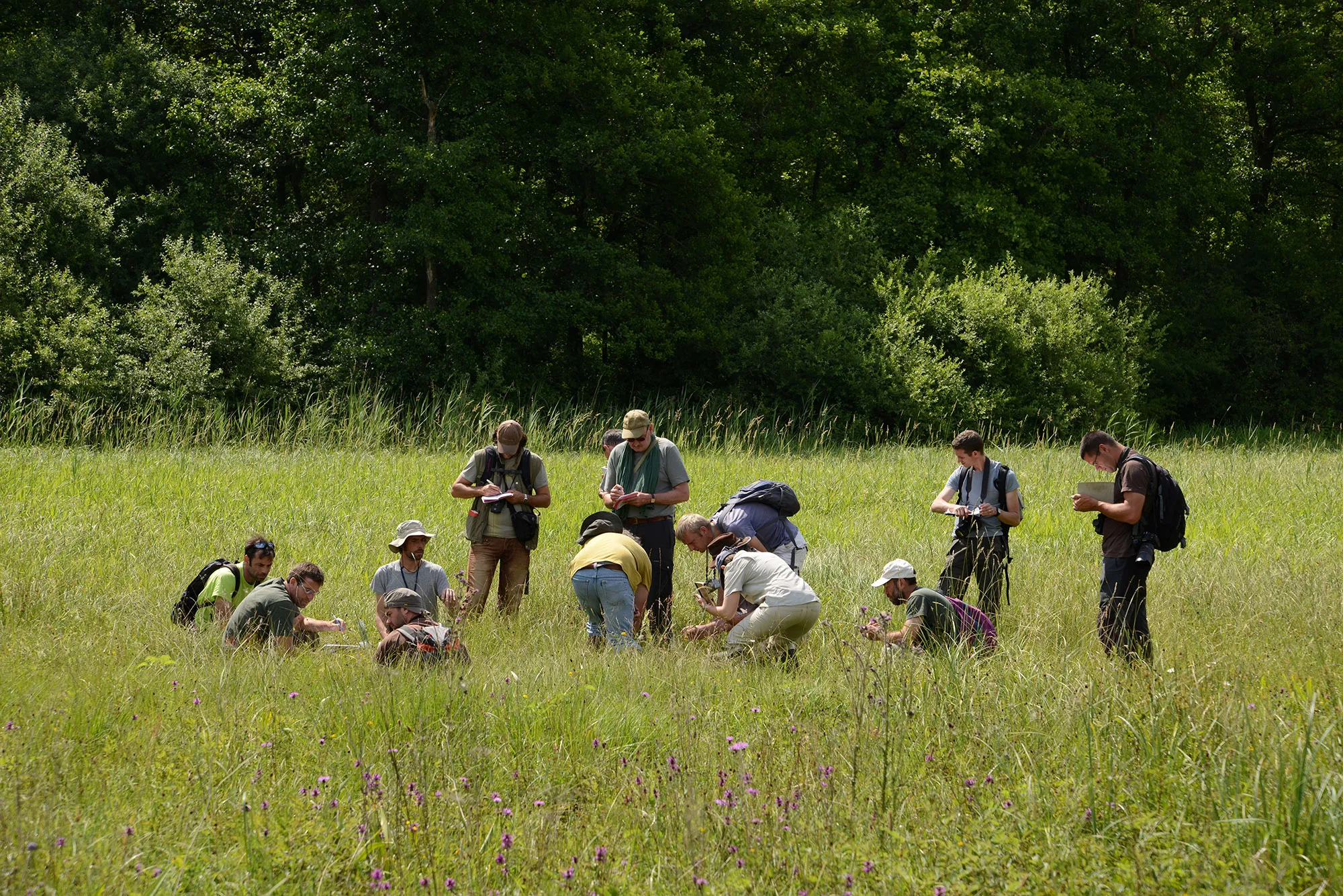 Participants en sortie nature guidée