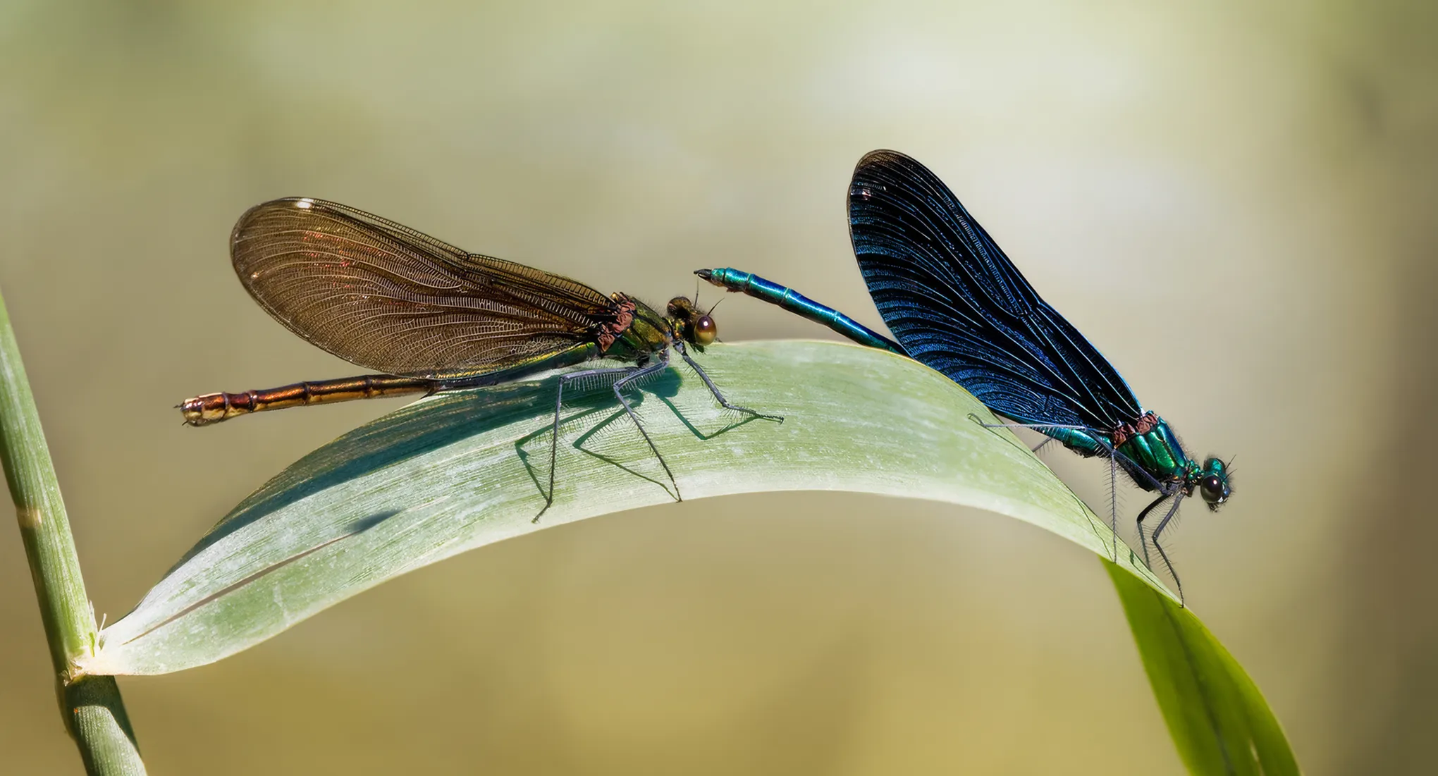 Préparation d'une activité nature en extérieur