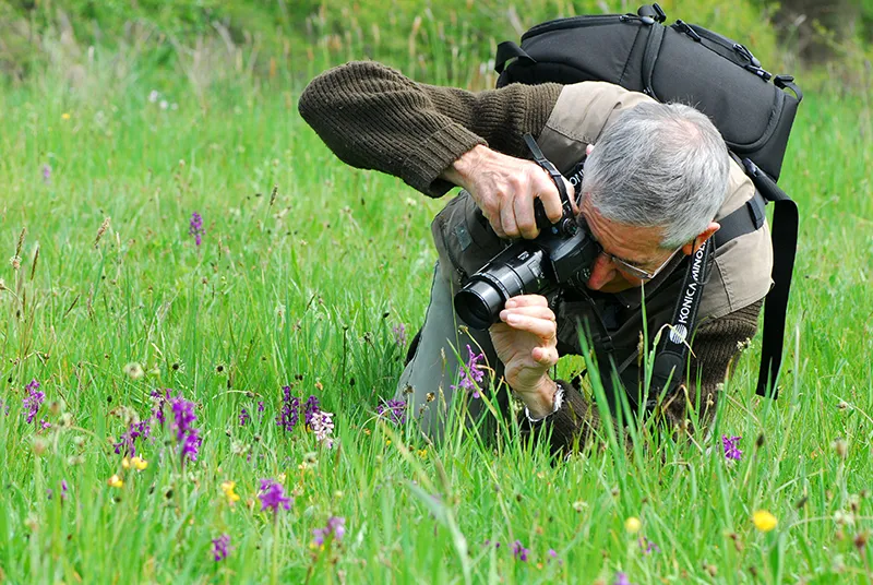 Personne observant la nature avec des jumelles